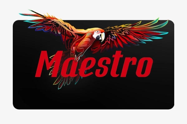 07493 maestro