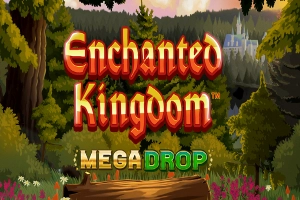 12883 enchanted kingdom