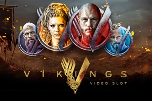 14822 vikings